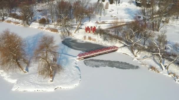 LUna isla en un lago con un puente en el invierno Loshitsky Park.Minsk, Bielorrusia — Vídeos de Stock