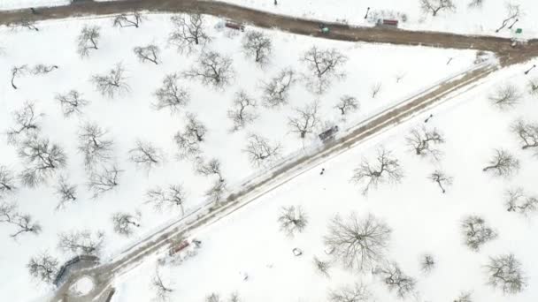 Зимовий парк Лошица в місті Мінську. Білорусь — стокове відео