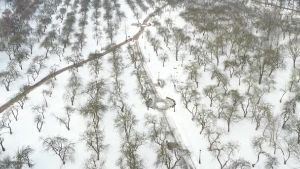 Invierno Loshitsa Parque en la ciudad de Minsk. Belarús — Vídeos de Stock