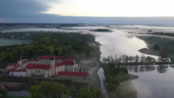 Foggy Dawn vicino al Castello di Nesvizh. Nesvizh. Un vecchio castello. Bielorussia — Video Stock