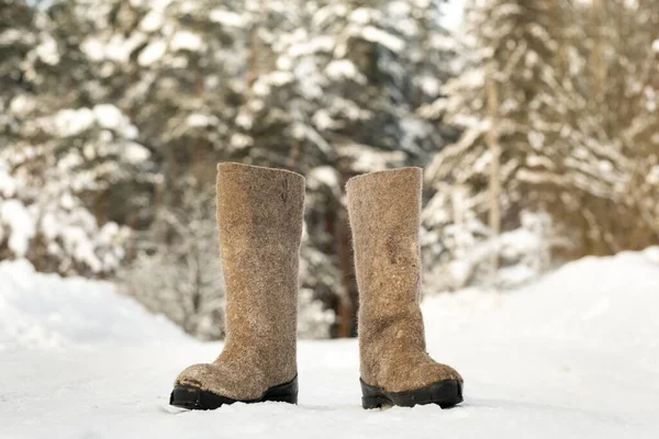 Gros Plan Bottes Feutre Debout Dans Neige — Photo