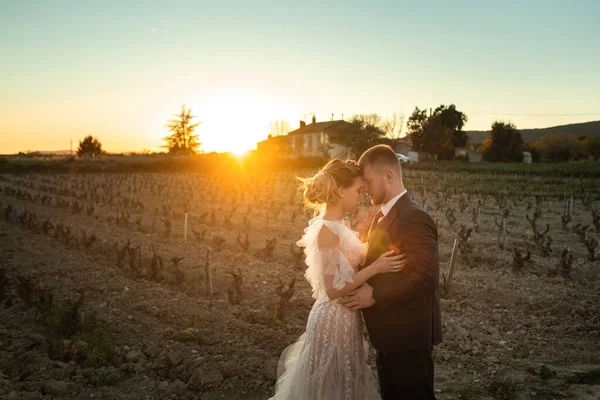 Ślub Para Zachodzie Słońca Francji Ślub Provence Wedding Sesji Zdjęciowej — Zdjęcie stockowe