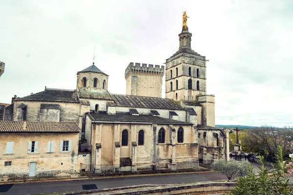 Het Paleis Van Pausen Oude Stad Van Avignon Frankrijk — Stockfoto