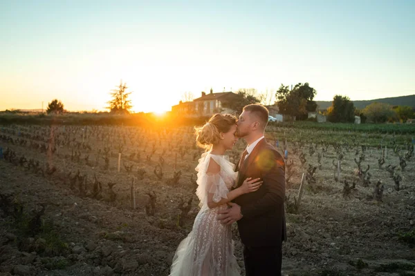 Ślub Para Zachodzie Słońca Francji Ślub Provence Wedding Sesji Zdjęciowej — Zdjęcie stockowe