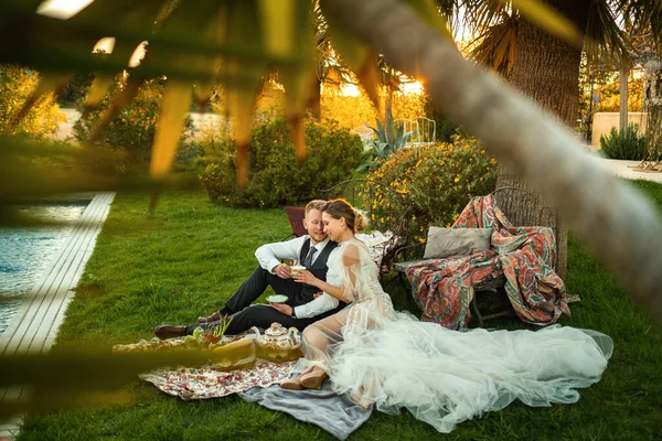 Cena Recién Casados Césped Atardecer Una Pareja Sienta Bebe Atardecer —  Fotos de Stock