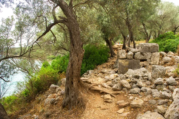 Remains Ancient Carian City Island Sedir Mugla Turkey — Stock Photo, Image
