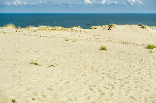 Sanddünen Auf Der Kurischen Nehrung Nahe Der Stadt Nida Klaipeda — Stockfoto