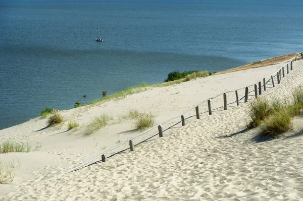 Sanddünen Auf Der Kurischen Nehrung Nahe Der Stadt Nida Klaipeda — Stockfoto