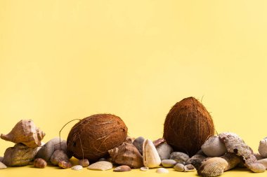 Sarı zemin üzerinde hindistan cevizi, kaya ve kabuk. Deniz teması..