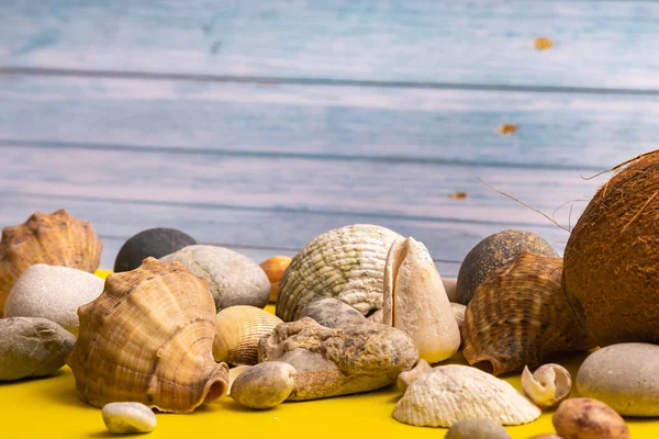 Cocos Pedras Conchas Fundo Madeira Azul Fundo Amarelo Tema Marinho — Fotografia de Stock