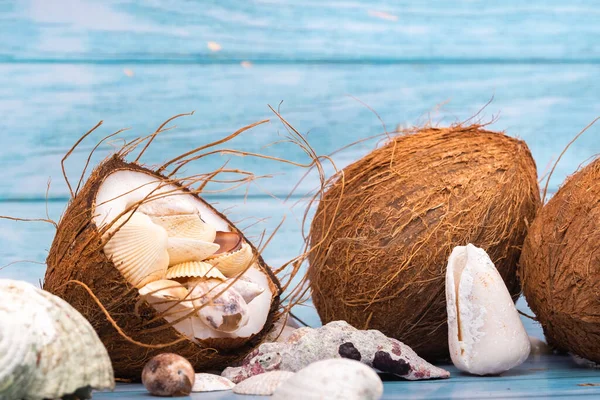 Kokosnoten Schelpen Een Blauwe Houten Ondergrond Mariene Thema — Stockfoto