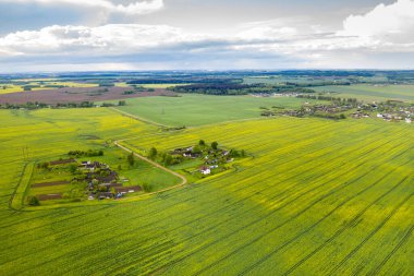 Ekilmiş yeşil bir tarlanın ve Belarus 'ta küçük bir köyün üst manzarası. Köydeki tarım arazileri.