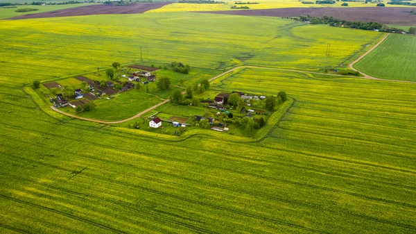 Vista Superior Campo Verde Sembrado Pequeño Pueblo Bielorrusia Campos Agrícolas —  Fotos de Stock