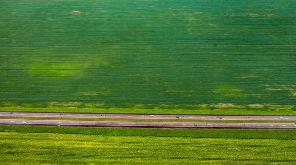 Top View Sown Green Bussius Agriculture Bnowus Texture — стокове фото