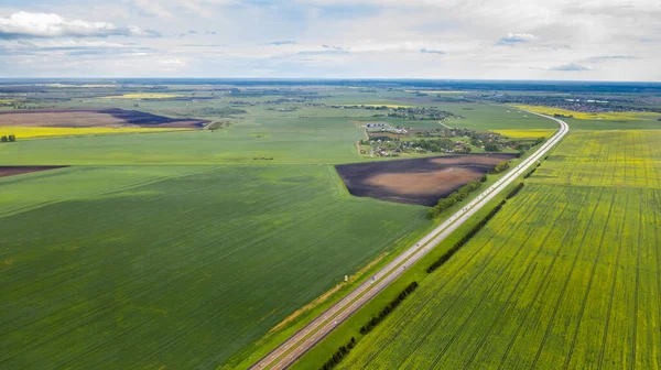 Top View Sown Green Bussius Agriculture Bnowus Texture — стокове фото