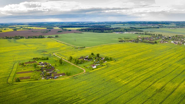 Vista Superior Campo Verde Sembrado Pequeño Pueblo Bielorrusia Campos Agrícolas — Foto de Stock