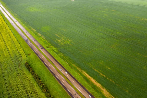 Vista Superior Del Verde Sembrado Bielorrusia Agricultura Bielorrusia Textura —  Fotos de Stock