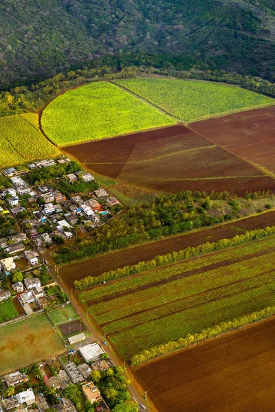 Vista Desde Altura Los Campos Sembrados Situados Isla Mauricio — Foto de Stock