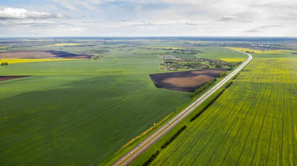 Vista Superior Verde Semeado Belarus Agriculture Belarus Texture — Fotografia de Stock