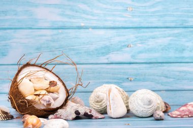 Mavi ahşap zemin üzerinde hindistan cevizi ve deniz kabukları. Deniz teması..