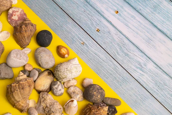 Pedras Conchas Fundo Madeira Azul Fundo Amarelo Tema Marinho — Fotografia de Stock