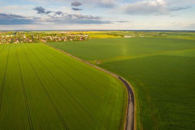 Beyaz Rusya 'da ekili yeşilin en üst görüntüsü. Beyaz Rusya' da tarım. Doku..