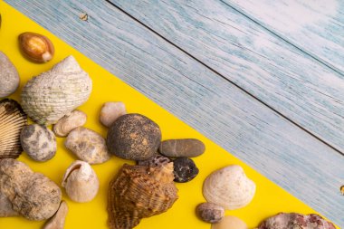 Mavi ahşap bir zemin ve sarı bir zemin üzerinde taşlar ve kabuklar. Deniz teması..