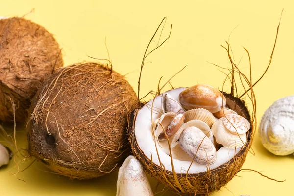 Noix Coco Coquillages Sur Fond Jaune Thème Marin — Photo