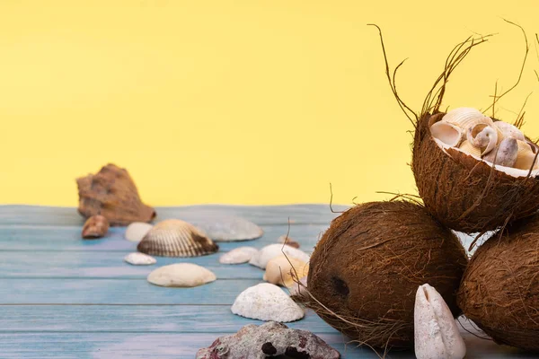 Cocos Conchas Fundo Madeira Amarelo Azul Tema Marinho — Fotografia de Stock