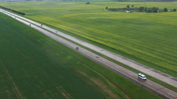 Blick Von Oben Auf Das Gesäte Grün Weißrussland Landwirtschaft Weißrussland — Stockvideo