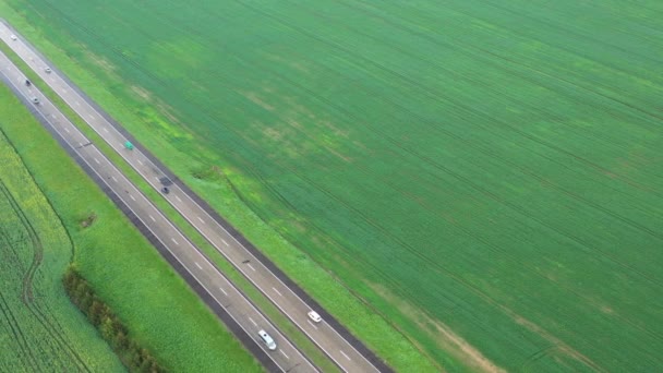 Bovenaanzicht van het gezaaide groen in Wit-Rusland. Landbouw in Wit-Rusland. — Stockvideo
