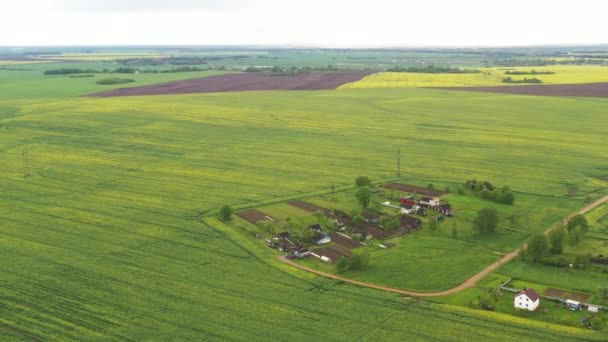 Pohled Shora Zaseté Zelené Pole Malou Vesničku Bělorusku Zemědělská Pole — Stock video