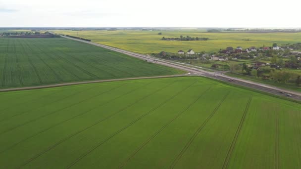Vista superior del verde sembrado en Bielorrusia. Agricultura en Bielorrusia Textura — Vídeo de stock