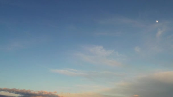 Pradera verde bajo un cielo azul al atardecer con nubes — Vídeo de stock