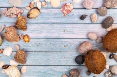 Hindistan cevizleri, kayalar ve kabuklar mavi ahşap bir arka planda. Deniz teması..