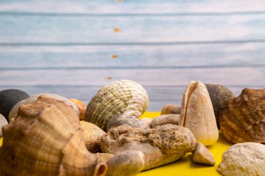 Mavi ahşap bir zemin ve sarı bir zemin üzerinde taşlar ve kabuklar. Deniz teması..