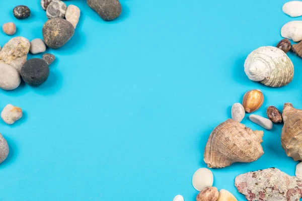 Seashells Rochas Fundo Azul Tema Marinho — Fotografia de Stock