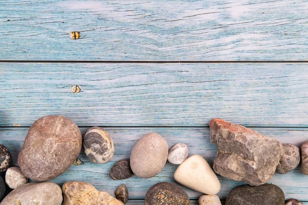 Hindistan cevizleri, kayalar ve kabuklar mavi ahşap bir arka planda. Deniz teması..