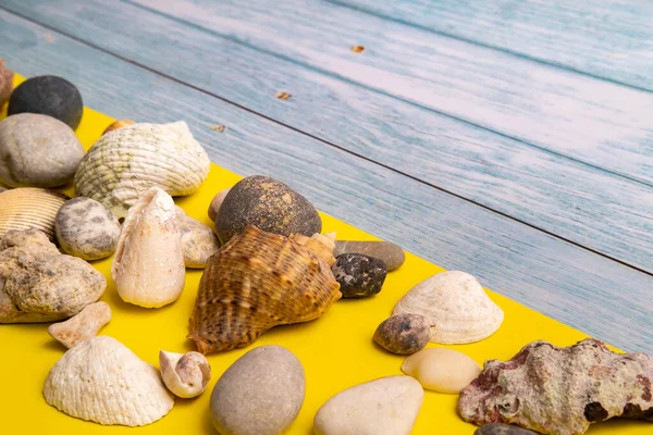 Pedras Conchas Fundo Madeira Azul Fundo Amarelo Tema Marinho — Fotografia de Stock