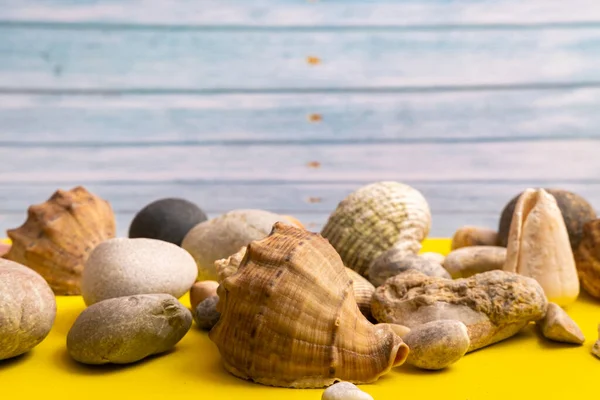 Pedras Conchas Fundo Madeira Azul Fundo Amarelo Tema Marinho — Fotografia de Stock