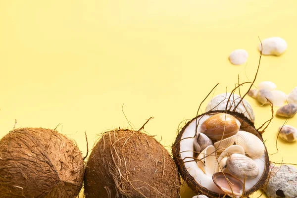 Coconuts Shells Yellow Background Marine Theme — Stock Photo, Image