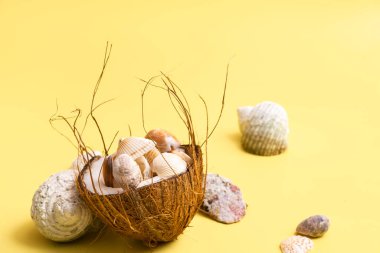 Sarı arka planda hindistan cevizi ve deniz kabuğu teması..