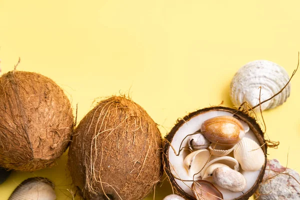 Coconuts Shells Yellow Background Marine Theme — Stock Photo, Image