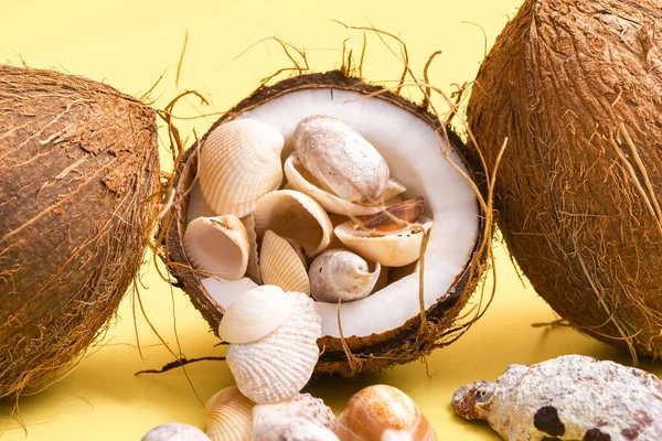 黄色の背景にココナッツと貝殻 海のテーマ — ストック写真