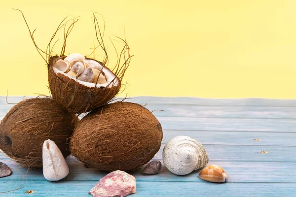 黄色と青の木の背景にココナッツと貝殻 — ストック写真