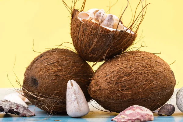 Coconuts Shells Yellow Blue Wooden Background Marine Theme — Stock Photo, Image