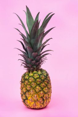 Pembe izole edilmiş arka planda büyük bir ananas. Asgari biçim.