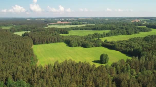 Pemandangan dari ketinggian lapangan hijau dan hutan dekat Minsk.Belarus.Nature of Belarus — Stok Video