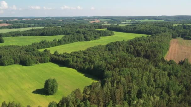 녹색 들판의 높은 곳 과 민스크 근처의 숲에서 바라본 벨라루스의 자연 — 비디오