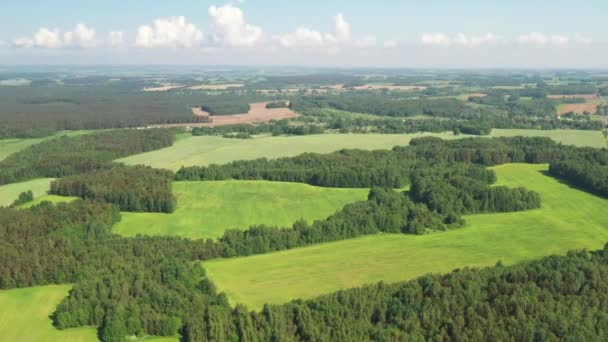 View from the height of the green field and the forest near Minsk.Belarus.Nature of Belarus — Wideo stockowe